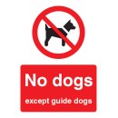 No Dogs Except Guide Dogs